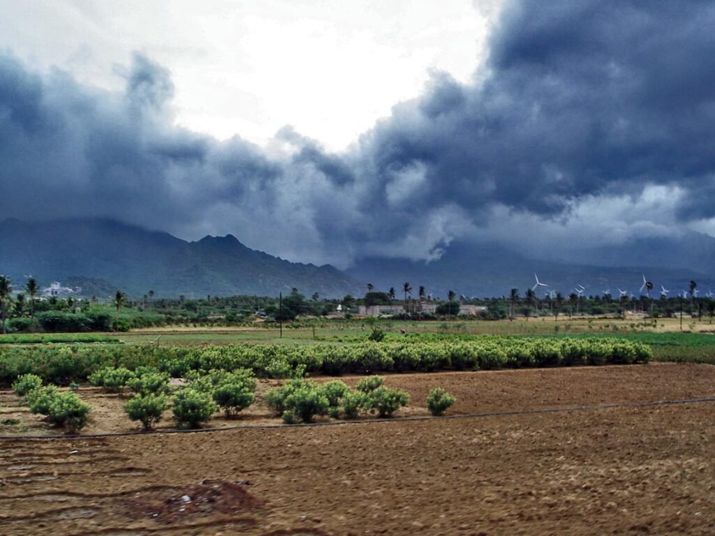 Monsoon movement may get slow this week as low pressure weakens, predicts IMD