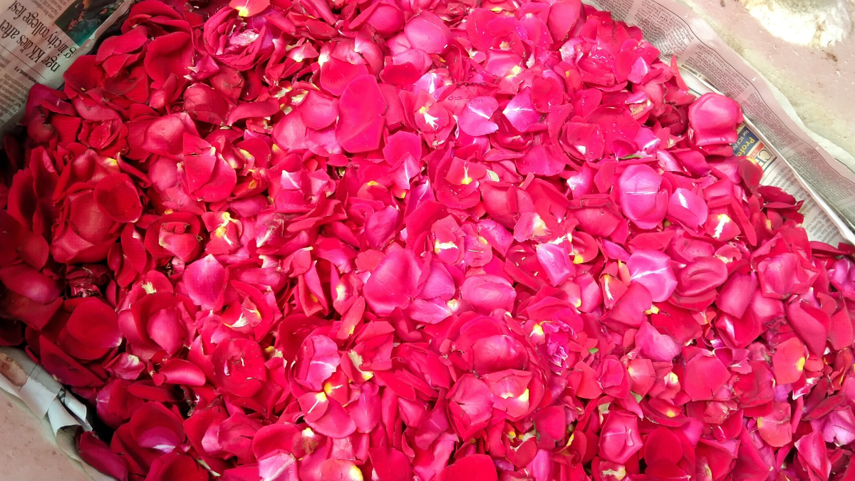 Asia’s Biggest Flower Market In Kolkata Howrah Mullik Bazer Flower Market - The India Wire