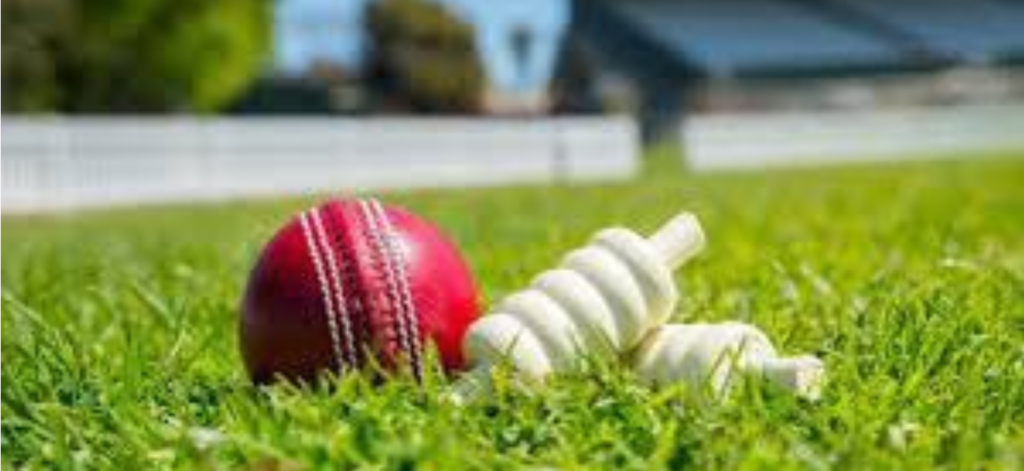 Greenidge & Marshall the two West Indian Player