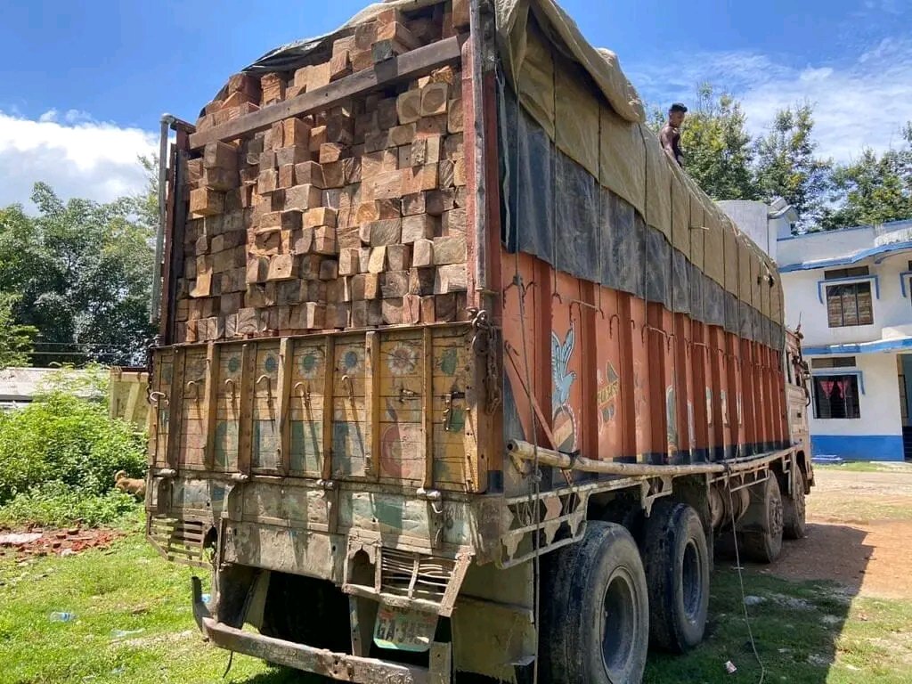 Arunachal Pradesh: Illegal timber smugglers tandav continues