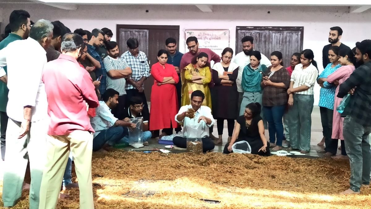 Mushroom cultivation in Surat, the blunt times